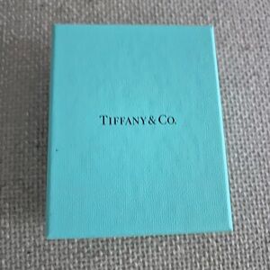 Tiffany & Co. Turquoise Gift Box